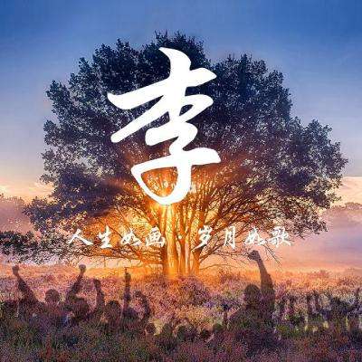 武将风云录之大话三国手游(暂未上线)v1.0 安卓版